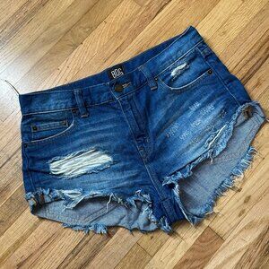 BDG Distressed Short Boyfriend Low Rise Jean / Denim Shorts - Size 25